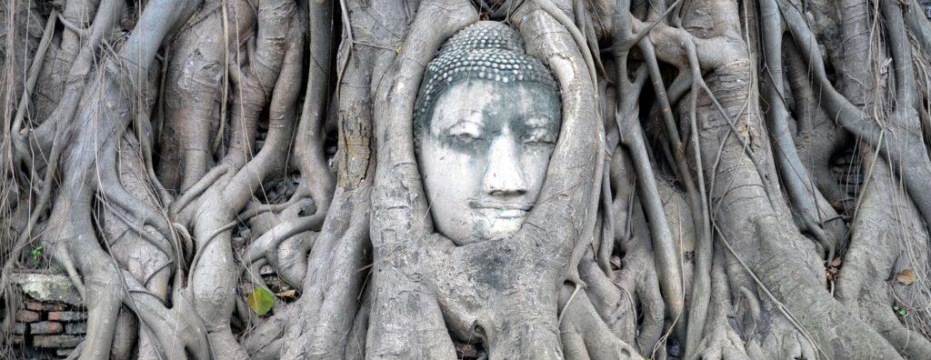 Lire la suite à propos de l’article Comment la tête d’un Bouddha s’est retrouvée coincée dans les racines d’un arbre à Ayutthaya