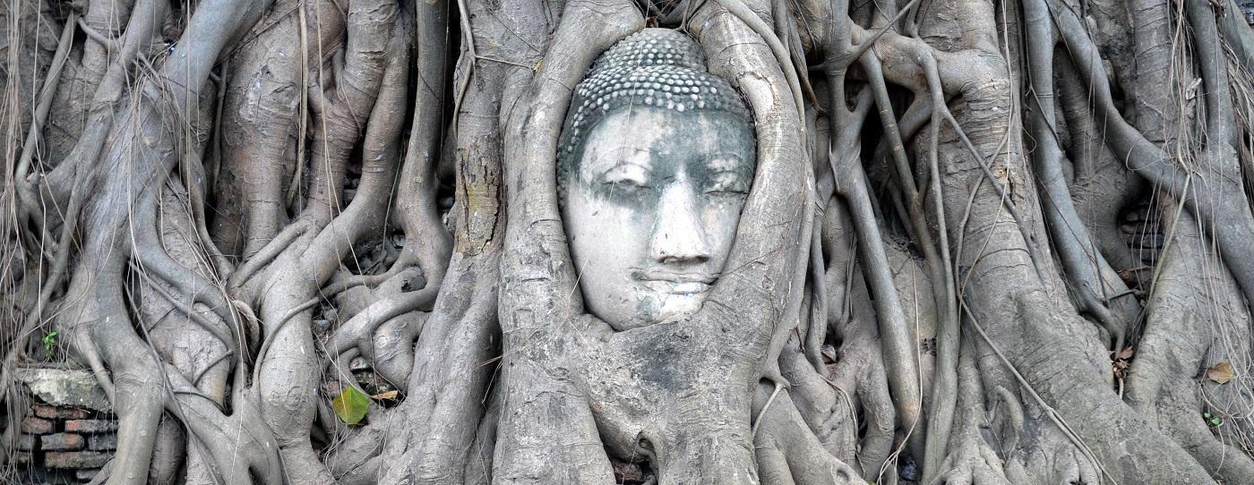 You are currently viewing Comment la tête d’un Bouddha s’est retrouvée coincée dans les racines d’un arbre à Ayutthaya