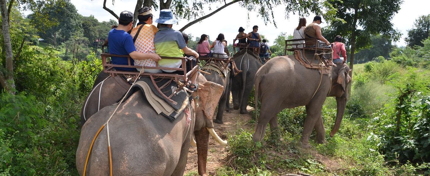 You are currently viewing Comment se promener à dos d’éléphant dans la jungle thaïlandaise