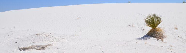 Lire la suite à propos de l’article White Sands Dunes, une autre façon de voir le paradis blanc dans l’ouest américain