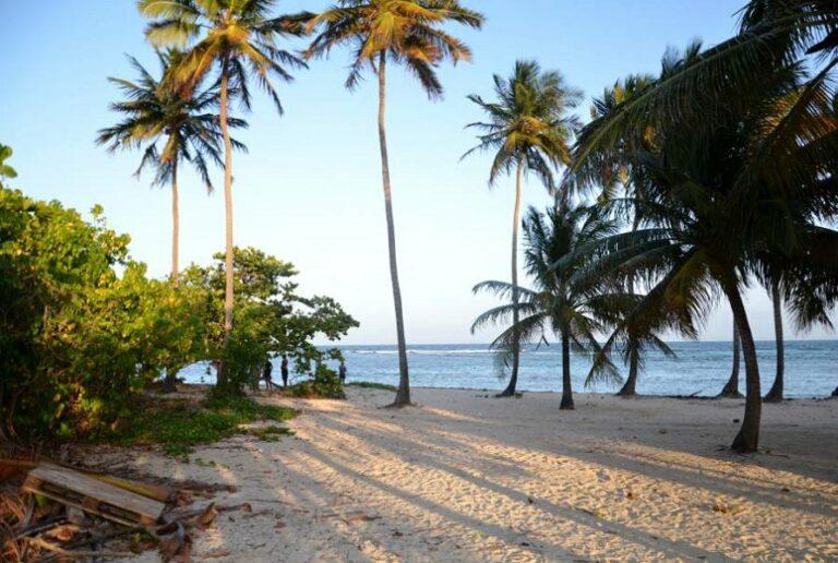 Lire la suite à propos de l’article Comment prendre en bain de minuit à la plage du Bois-Jolan en Guadeloupe