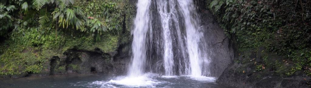 Lire la suite à propos de l’article Comment aller à la chasse aux écrevisses sous une cascade de Guadeloupe ?