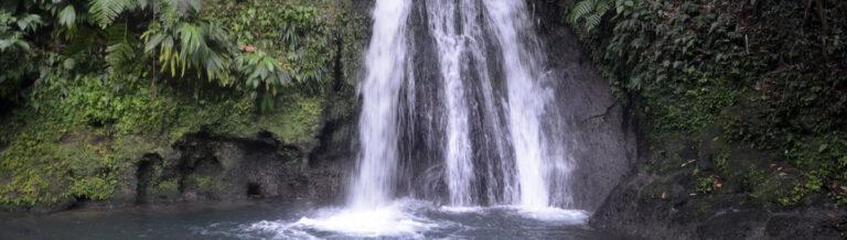 Lire la suite à propos de l’article Comment aller à la chasse aux écrevisses sous une cascade de Guadeloupe ?