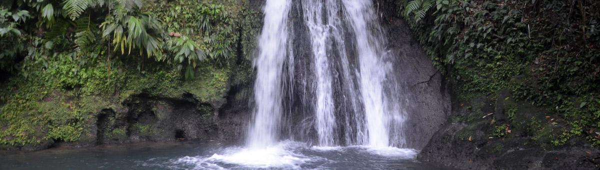 You are currently viewing Comment aller à la chasse aux écrevisses sous une cascade de Guadeloupe ?