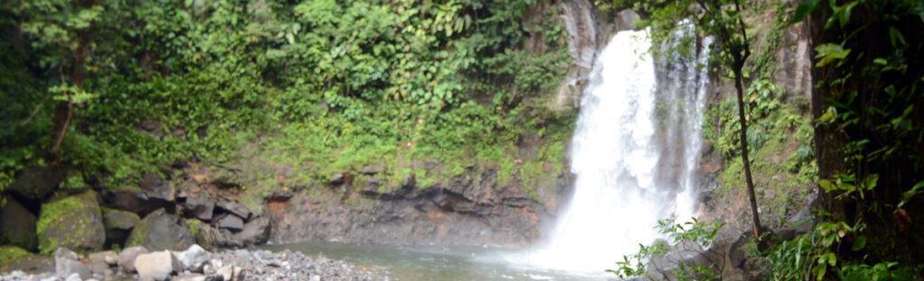 Lire la suite à propos de l’article Comment aller se baigner à la chute Carbet en Guadeloupe ?