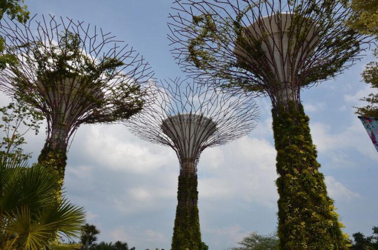 Lire la suite à propos de l’article Comment admirer les jardins de Marina Bay le temps d’une escale à Singapour