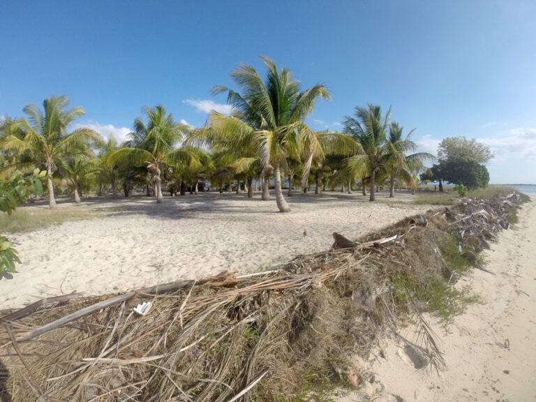 Lire la suite à propos de l’article Comment profiter d’une journée snorkeling à Gili Bola en croisière aux îles Komodo en Indonésie