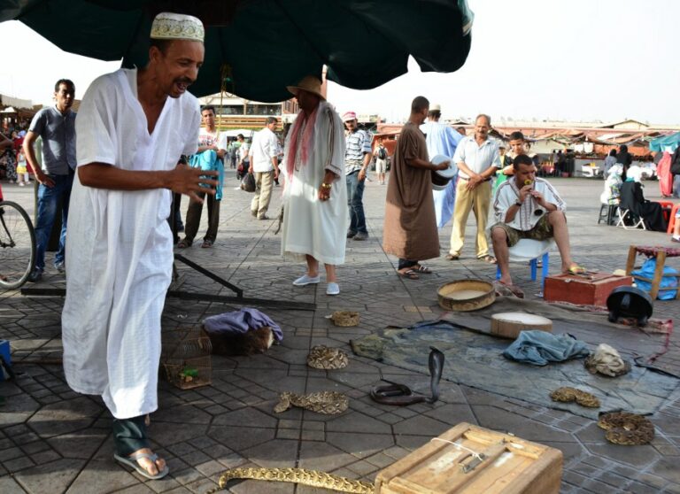 Lire la suite à propos de l’article Vivre la magie de la place Jemaa-el-Fna à Marrakech au Maroc